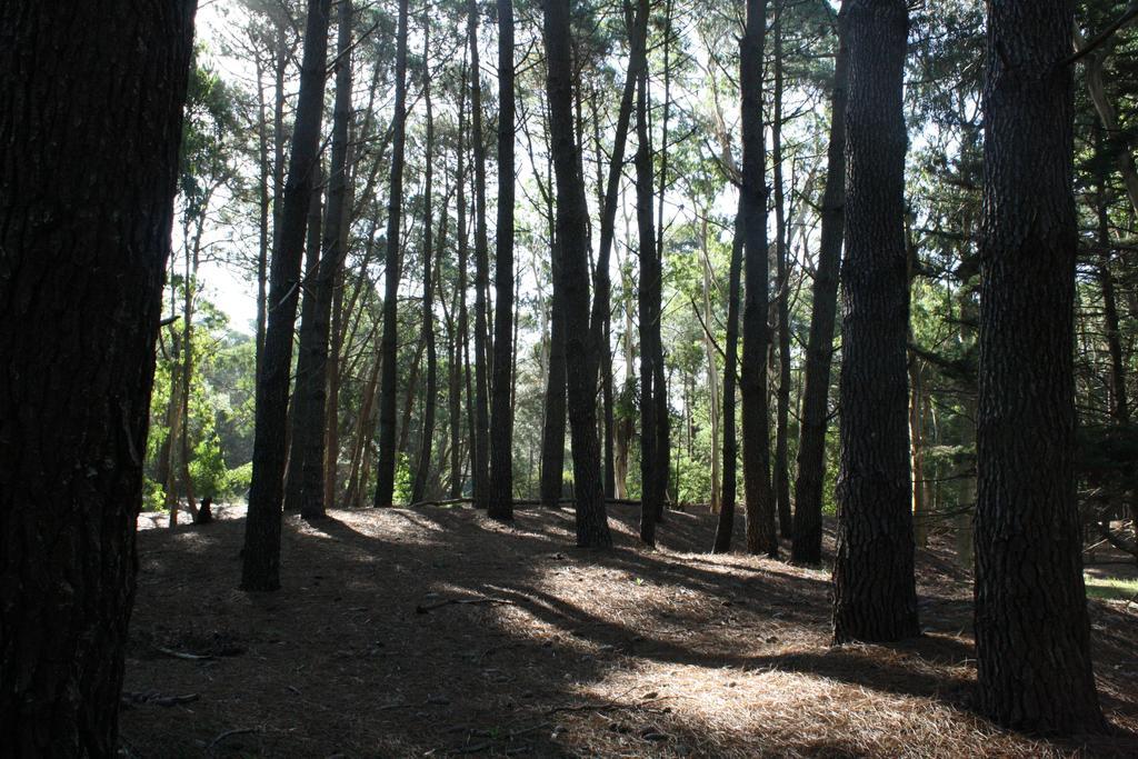 Cabanas Hurra Pampa Mar de Las Pampas Værelse billede